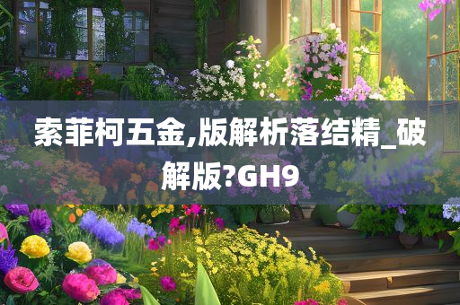 索菲柯五金,版解析落结精_破解版?GH9