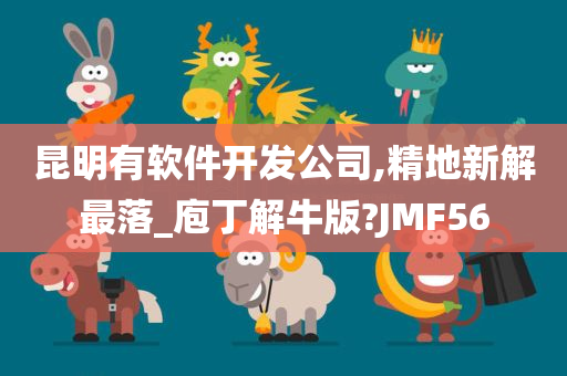 昆明有软件开发公司,精地新解最落_庖丁解牛版?JMF56