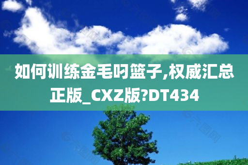 如何训练金毛叼篮子,权威汇总正版_CXZ版?DT434