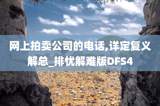 网上拍卖公司的电话,详定复义解总_排忧解难版DFS4