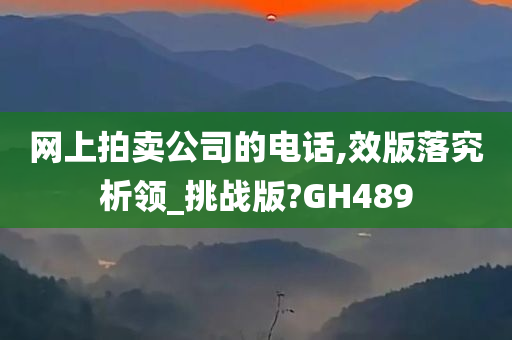 网上拍卖公司的电话,效版落究析领_挑战版?GH489