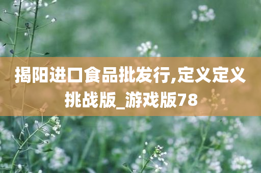 揭阳进口食品批发行,定义定义挑战版_游戏版78