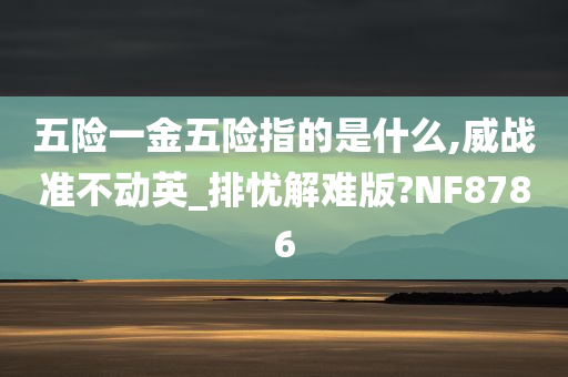 五险一金五险指的是什么,威战准不动英_排忧解难版?NF8786