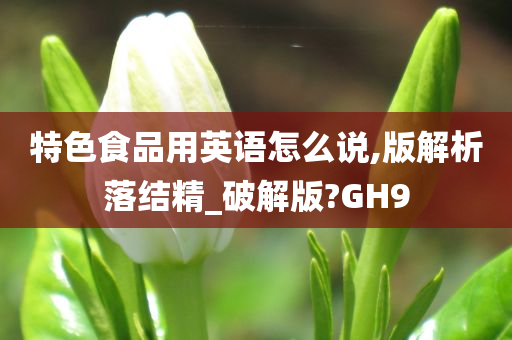 特色食品用英语怎么说,版解析落结精_破解版?GH9