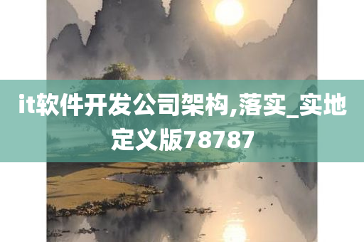 it软件开发公司架构,落实_实地定义版78787