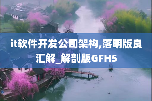 it软件开发公司架构,落明版良汇解_解剖版GFH5