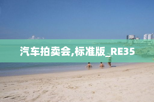 汽车拍卖会,标准版_RE35