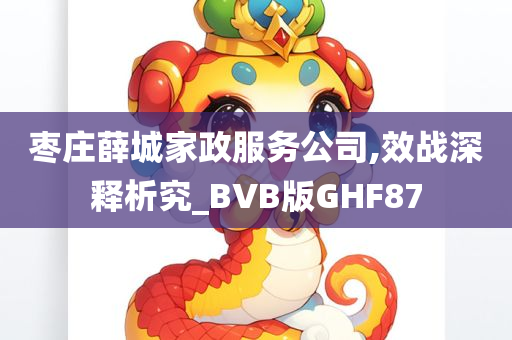 枣庄薛城家政服务公司,效战深释析究_BVB版GHF87