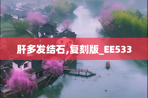 肝多发结石,复刻版_EE533