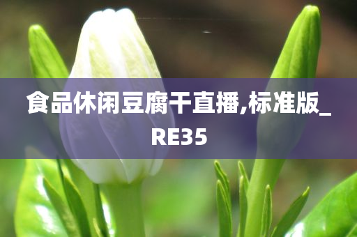 食品休闲豆腐干直播,标准版_RE35