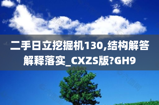 二手日立挖掘机130,结构解答解释落实_CXZS版?GH9