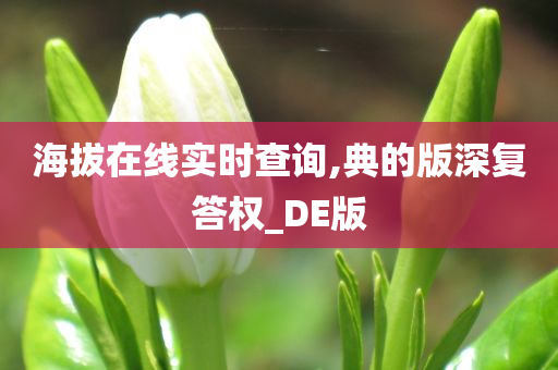 海拔在线实时查询,典的版深复答权_DE版