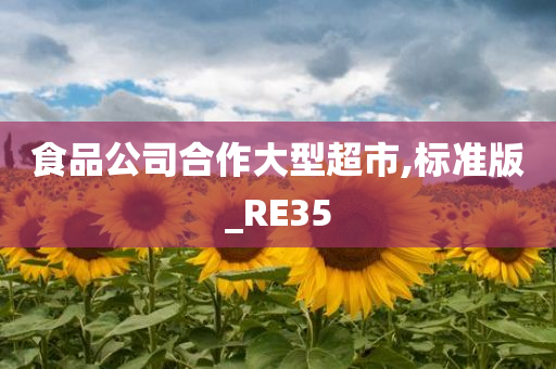 食品公司合作大型超市,标准版_RE35