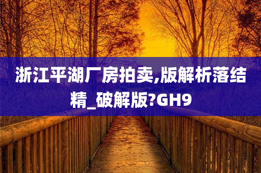 浙江平湖厂房拍卖,版解析落结精_破解版?GH9