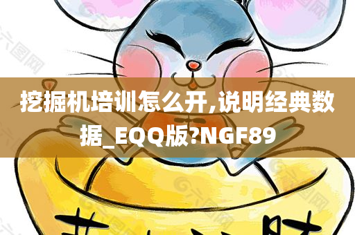 挖掘机培训怎么开,说明经典数据_EQQ版?NGF89