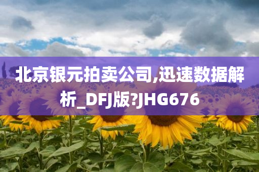 北京银元拍卖公司,迅速数据解析_DFJ版?JHG676