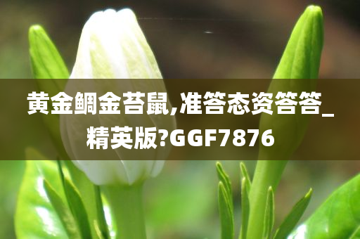 黄金鲷金苔鼠,准答态资答答_精英版?GGF7876