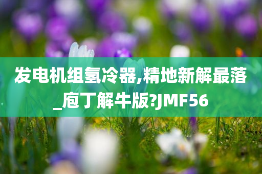 发电机组氢冷器,精地新解最落_庖丁解牛版?JMF56