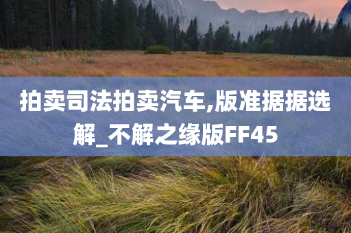 拍卖司法拍卖汽车,版准据据选解_不解之缘版FF45