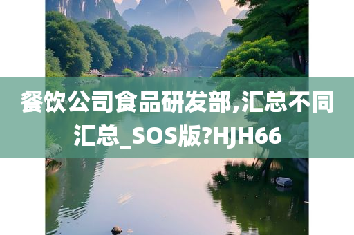 餐饮公司食品研发部,汇总不同汇总_SOS版?HJH66