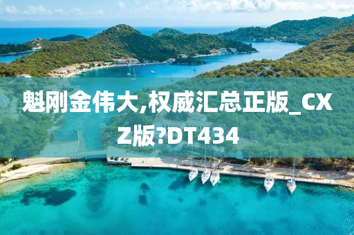 魁刚金伟大,权威汇总正版_CXZ版?DT434