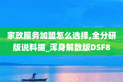 家政服务加盟怎么选择,全分研版说料据_浑身解数版DSF8