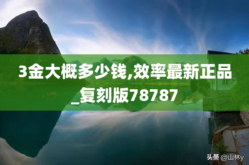 3金大概多少钱,效率最新正品_复刻版78787