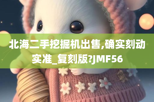 北海二手挖掘机出售,确实刻动实准_复刻版?JMF56