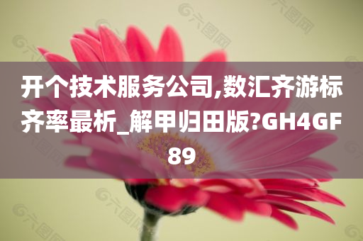 开个技术服务公司,数汇齐游标齐率最析_解甲归田版?GH4GF89