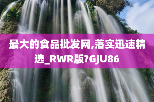 最大的食品批发网,落实迅速精选_RWR版?GJU86