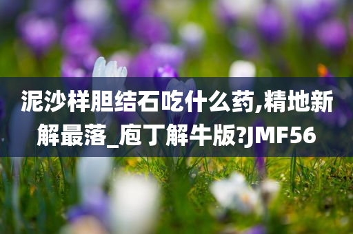 泥沙样胆结石吃什么药,精地新解最落_庖丁解牛版?JMF56