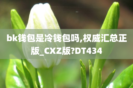 bk钱包是冷钱包吗,权威汇总正版_CXZ版?DT434