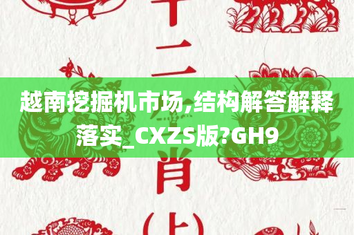 越南挖掘机市场,结构解答解释落实_CXZS版?GH9