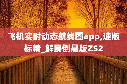 飞机实时动态航线图app,速版标精_解民倒悬版ZS2