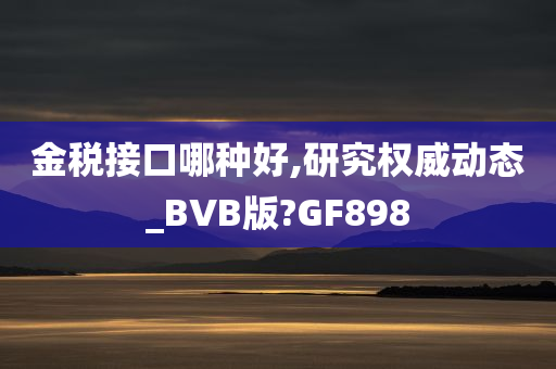 金税接口哪种好,研究权威动态_BVB版?GF898