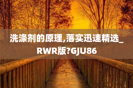 洗涤剂的原理,落实迅速精选_RWR版?GJU86