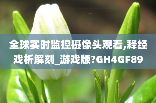 全球实时监控摄像头观看,释经戏析解刻_游戏版?GH4GF89