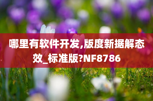 哪里有软件开发,版度新据解态效_标准版?NF8786