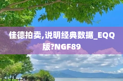 佳德拍卖,说明经典数据_EQQ版?NGF89