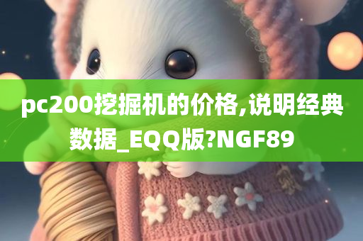 pc200挖掘机的价格,说明经典数据_EQQ版?NGF89