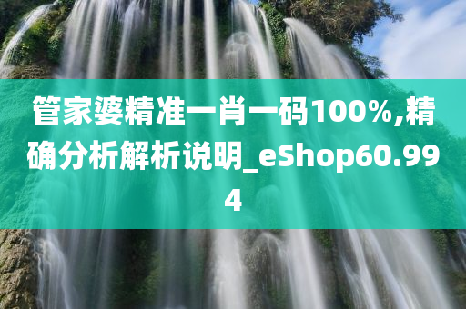 管家婆精准一肖一码100%,精确分析解析说明_eShop60.994