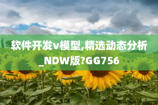 软件开发v模型,精选动态分析_NDW版?GG756