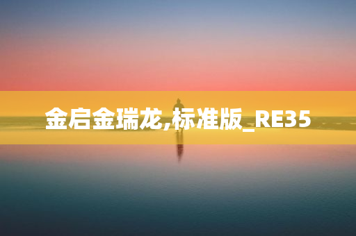 金启金瑞龙,标准版_RE35