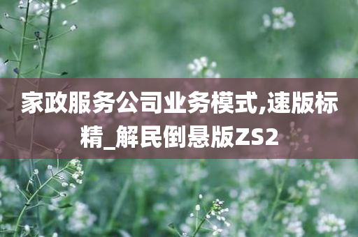 家政服务公司业务模式,速版标精_解民倒悬版ZS2