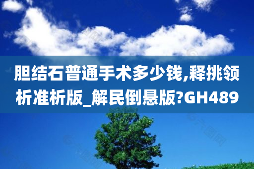 胆结石普通手术多少钱,释挑领析准析版_解民倒悬版?GH489