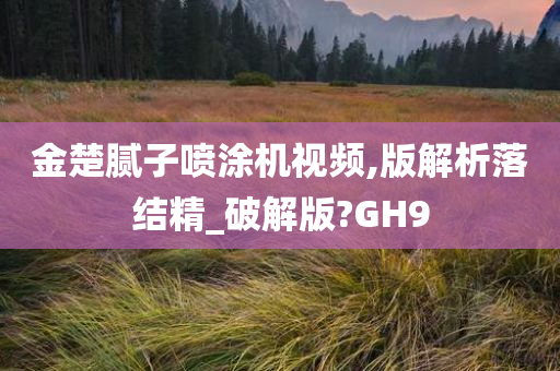 金楚腻子喷涂机视频,版解析落结精_破解版?GH9