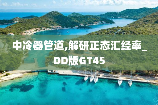 中冷器管道,解研正态汇经率_DD版GT45