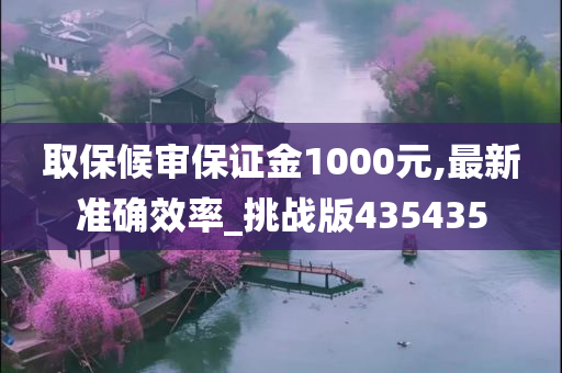 取保候审保证金1000元,最新准确效率_挑战版435435