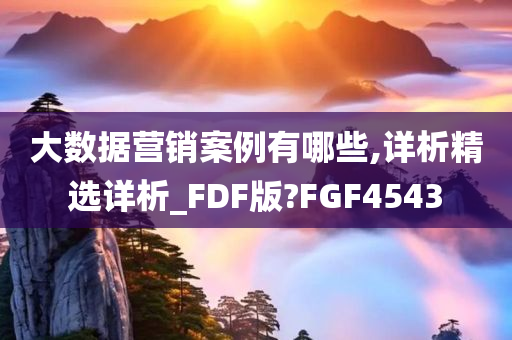 大数据营销案例有哪些,详析精选详析_FDF版?FGF4543