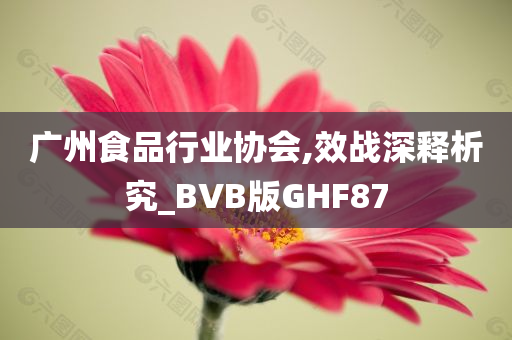 广州食品行业协会,效战深释析究_BVB版GHF87